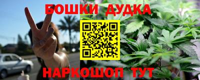 ECSTASY Камышлов