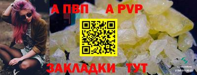 ECSTASY Камышлов
