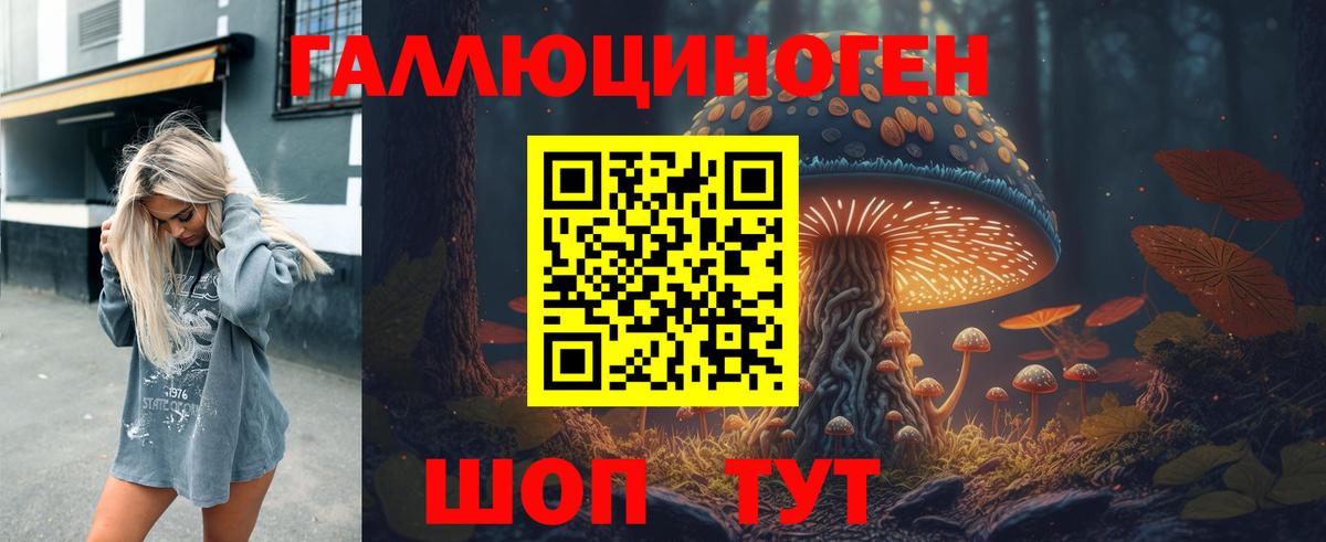 Галлюциногенные грибы мухоморы Каспийск